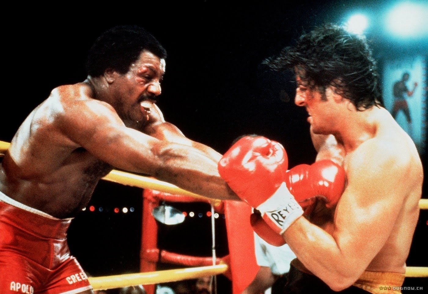 Sylvester Stallone teases Creed sequel reuniting Rocky and Apollo The Independent
